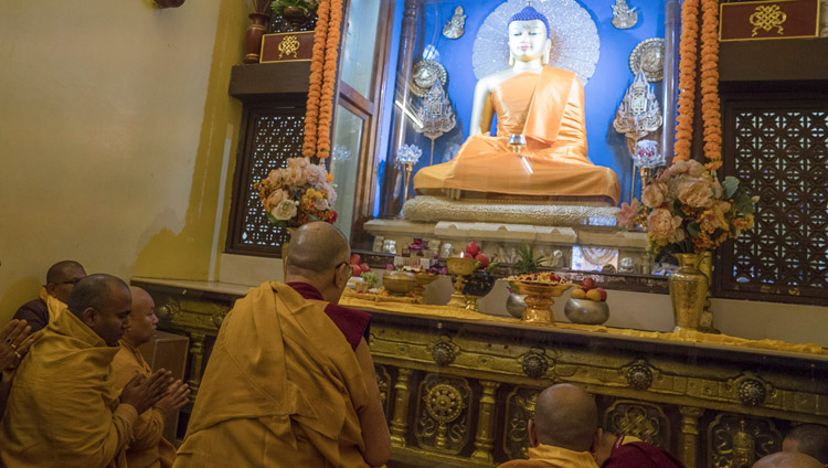 Sua Santità il Dalai Lama recita preghiere e lodi davanti alla statua del Buddha nel tempio di Mahabodhi a Bodhgaya, 2 gennaio 2018. Foto di Tenzin Choejor